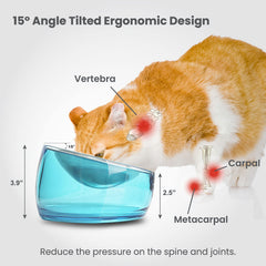 Felli Oblik removable shallow dish keeps food centered for easy cleaning.
