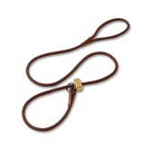 Fenrir Slip Leash 1.4m on a dog's head for precise walk control.