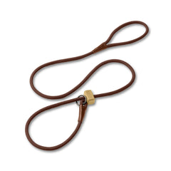 Fenrir Slip Leash 1.4m on a dog's head for precise walk control.