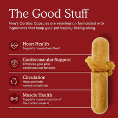 Closeup of Fera Pets Cardiac Support capsules for easy daily administration