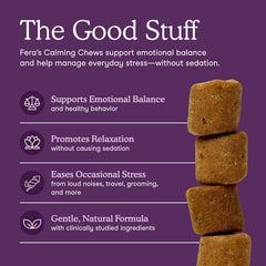 Closeup of ingredients featuring ashwagandha and botanicals for calmer mood support.