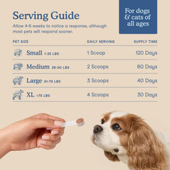 Fera Pets Ginger root, fennel, licorice ingredients showcase natural digestive aids.