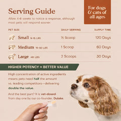 Fera Pets Probiotics on food-topper-dish shows flavorless addition to meals.