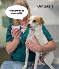 Fetch A Vet charcoal gel squeeze facilitates simple administration to pets.
