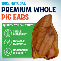 Close-up of Fetcheroni pig ears showing natural single-ingredient texture.
