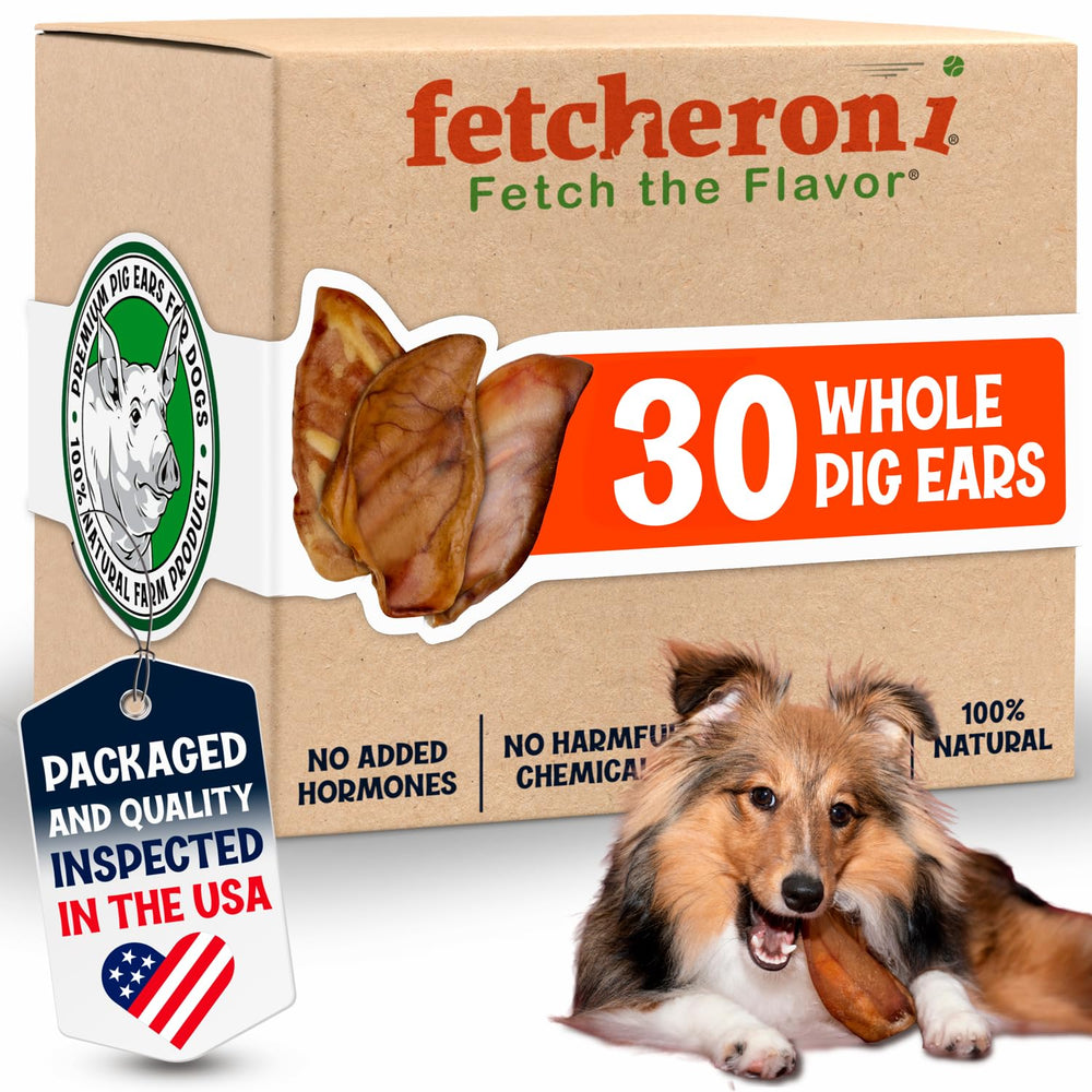 Fetcheroni whole pig ears in a resealable bag for long-lasting chewing.