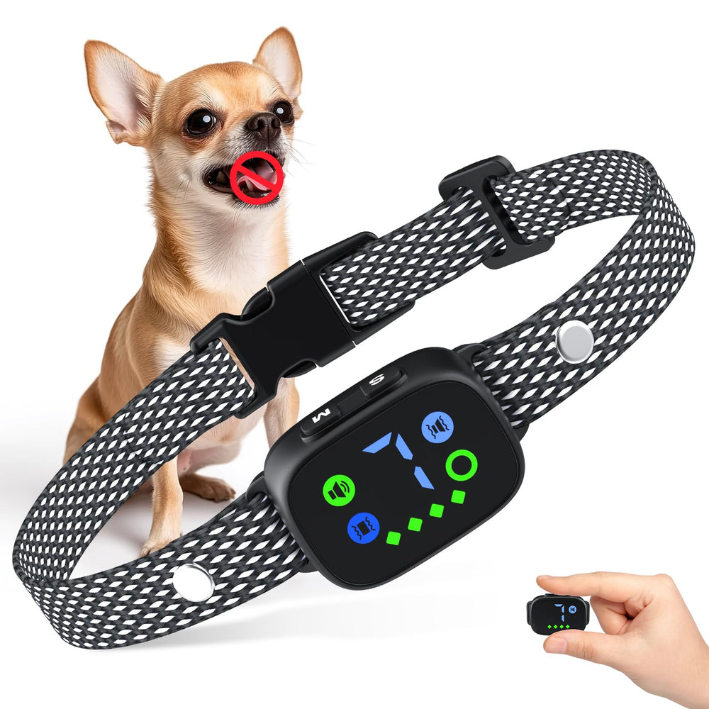 Feycig dog bark collar on a dog's neck, comfortable fit.
