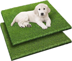 Fezep dog grass pad 26x30 full set for versatile indoor and outdoor potty training