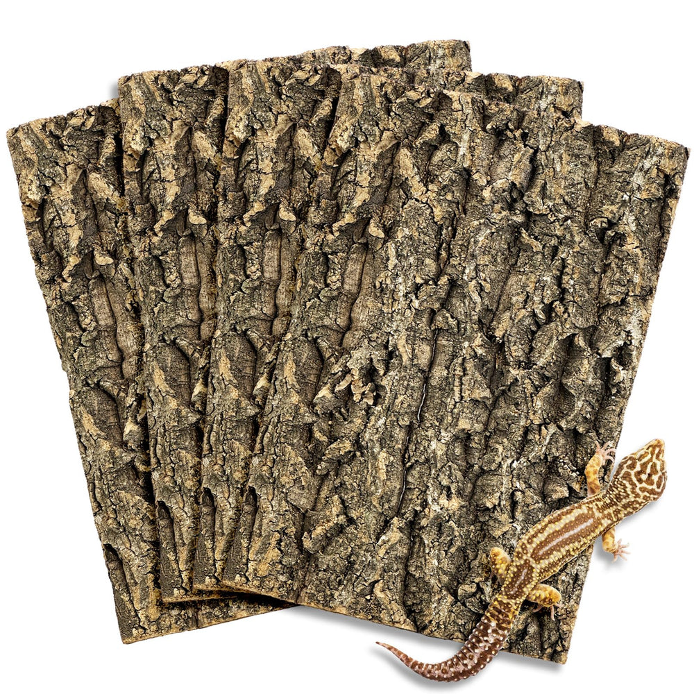 Fhiny cork bark backdrop for terrarium pack 1 shows natural climbing surface.
