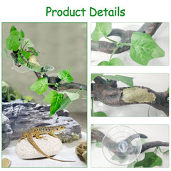 Fhiny suction cup mount branch securely attaches to glass