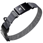 Fi New Series 3+ GPS collar - real-time dog tracking with nationwide coverage.