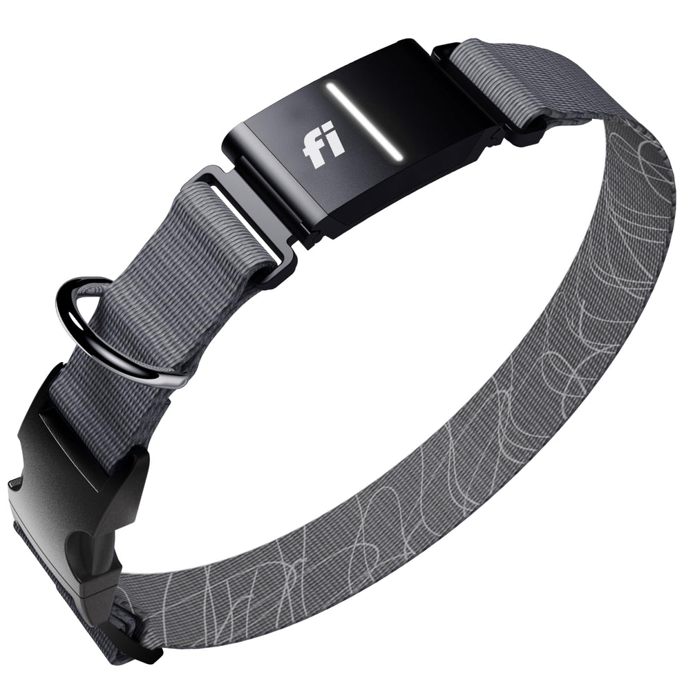 Fi Series 3+ live location tracking shows real-time whereabouts for quick peace of mind.