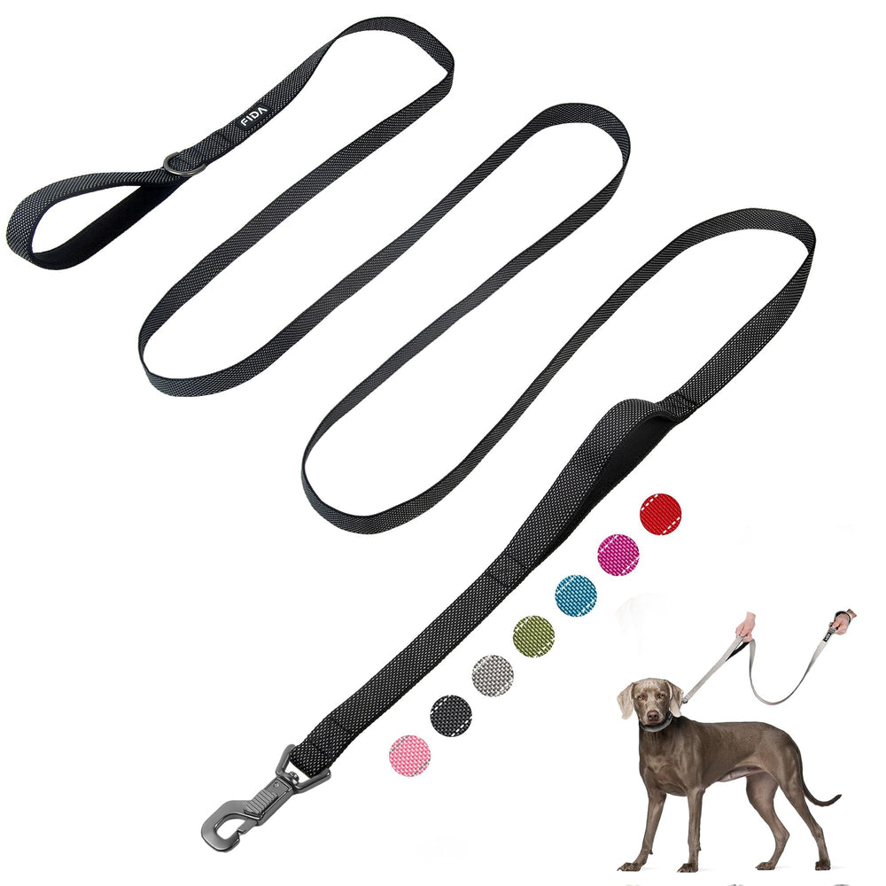 Fida 10ft heavy-duty leash clip with secure automatic lock for daily walks.