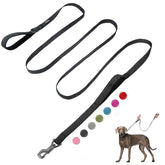 Fida 10ft heavy-duty leash clip with secure automatic lock for daily walks.