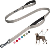 Fida 4 ft heavy duty leash with padded handles for comfortable daily walks.