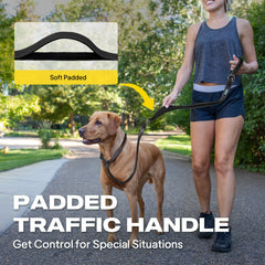 Fida thicker no-pull leash supports training while reducing strain.