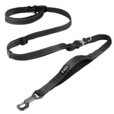 Fida 6-in-1 leash with front padded handle for safer roadside walks.