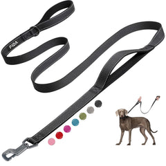 Fida 6ft leash with dual padded handles for a comfortable grip during daily walks
