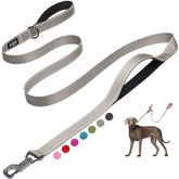 Fida 6 ft heavy-duty leash with padded handles for comfortable daily walks.