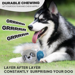 Fida raccoon-inside ball toy inspires retrieval and keeps dogs curious
