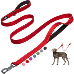 Fida Easy Hook Clip shown for quick, secure leash attachment during walks.