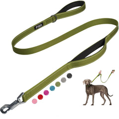 Fida heavy-duty dog leash with advanced easy hook for quick secure attachment.