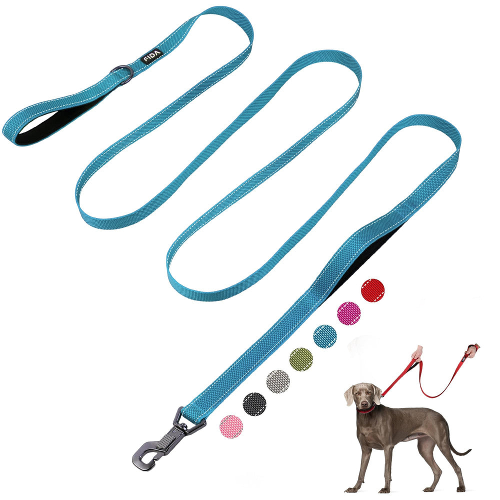 Fida 10ft heavy-duty blue leash, full product view for durable daily walks.