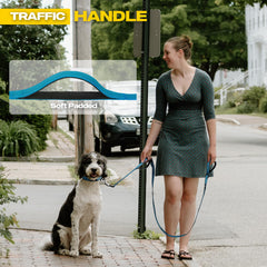 Fida leash easy snap hook with 360Β° swivel to reduce tangling.
