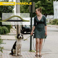 Fida leash with reflective stitching for night visibility.