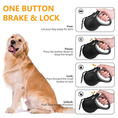 Fida leash with reflective tape boosts nighttime visibility