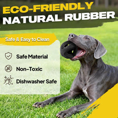 Fida ring-ball fetch-toy delivers engaging bounce and secure grip.