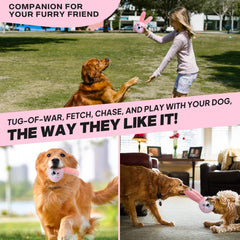 Fida three-in-one toy supports fetch and tug for active dogs