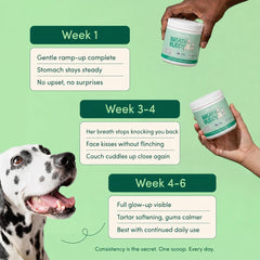 Close-up of natural Breath Buddy ingredients shown for odor control