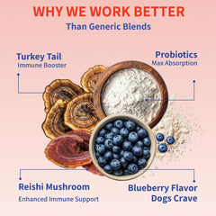 Fifth & Fido immune defense for dogs to complement a balanced diet.