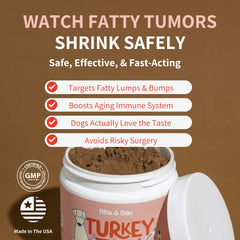 Fifth & Fido probiotics and digestive enzymes support gut health in dogs.