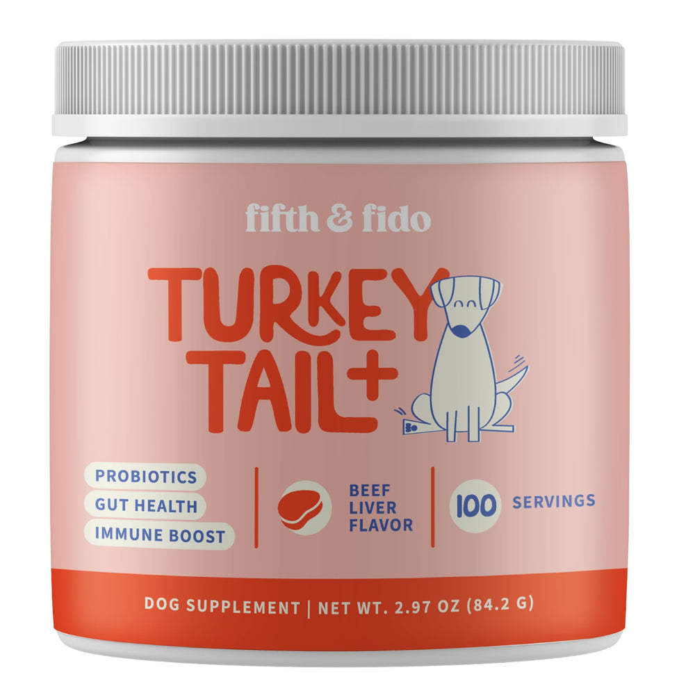 Fifth & Fido Turkey Tail bottle shown for daily immune support.