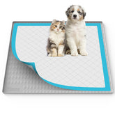 Filmicy pee pad holder 34x28 fits standard pads and stays secure during active sessions.