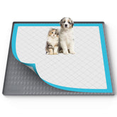 Filmicy Pee Pad Holder securely fits 34x28 training pads for stable use.