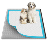 Filmicy pee pad holder for dogs with 24x24 focus provides secure pad fit.
