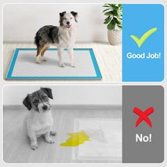 Filmicy leak-proof tray keeps urine on the pad for a cleaner home.