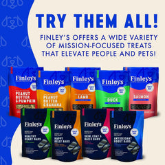 Finley's Training Treats pocket-friendly pack for on-the-go practice