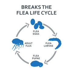 Fiproguard cat packaging showing three-month supply of treatment.