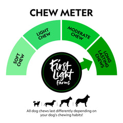 Dog chewing First Light Venison Marrow Bones, a durable chew for active dogs.