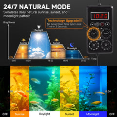 Fishkeeper 24/7 mode demonstrates a natural day cycle in your aquarium.