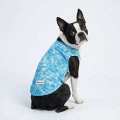 Fitwarm marine UPF 50+ dog shirt mint green back view for coverage