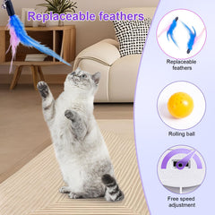 FITWOWFIT safe PP resin shell keeps play durable and cat-friendly.