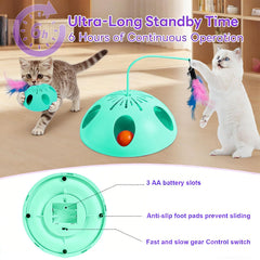 FITWOWFIT track ball within the track promotes paw stimulation and chasing