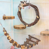 FLAdorepet sugar glider swing toy for active play and exercise