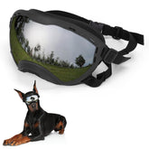 Flantor dog goggles with UV protection shield large dogs from sun and debris.