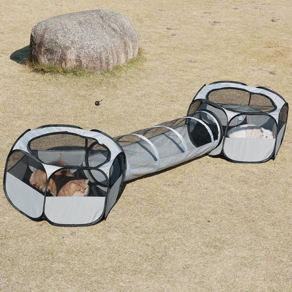 Flashing Fire outdoor cat enclosure fully set up for spacious playtime